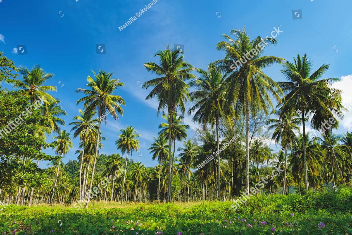 Beste Reisezeit für Khao Lak
