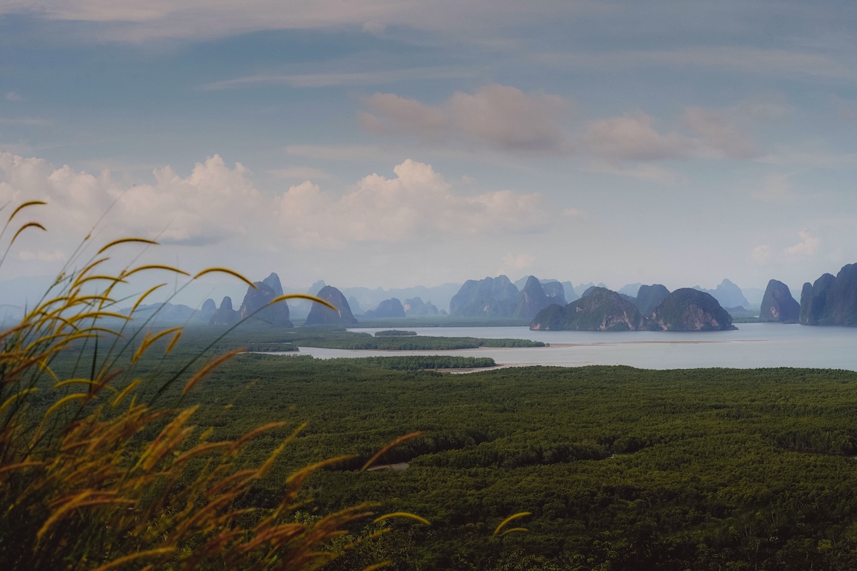 View across mangrove forest towards the islands of Phang Nga Bay