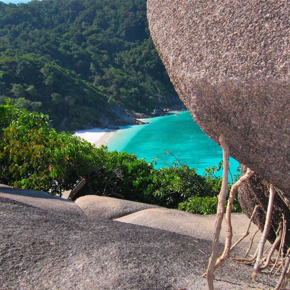 Granitfelsen und tropische Vegetation auf den Similan Islands
