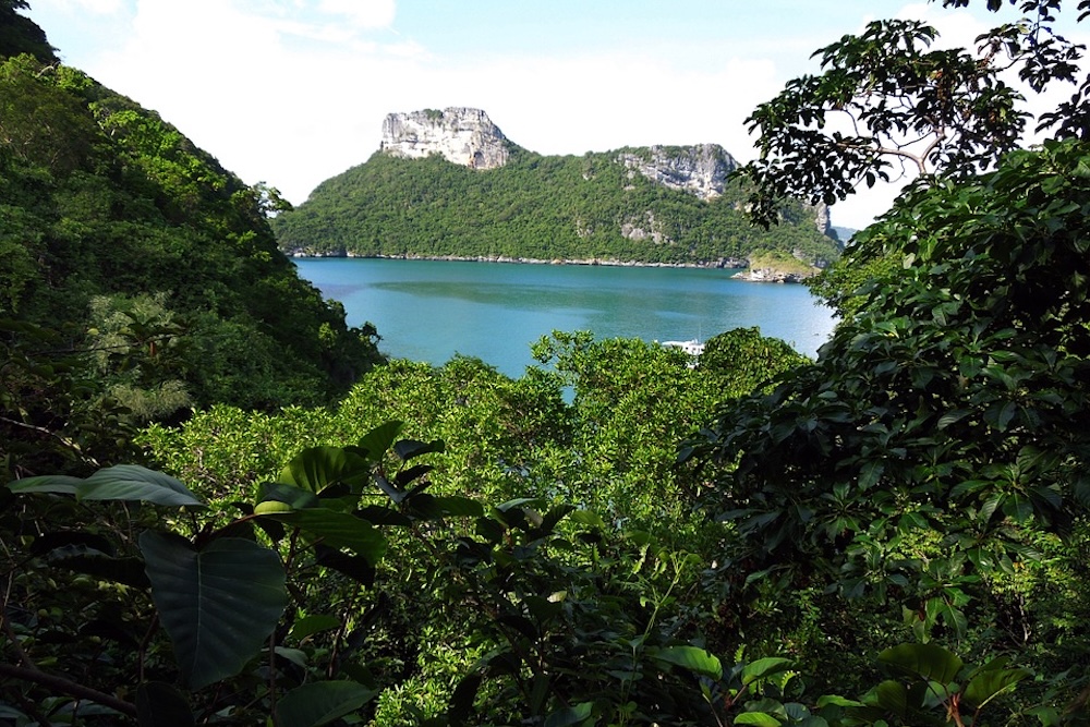Naturschutz in Thailand