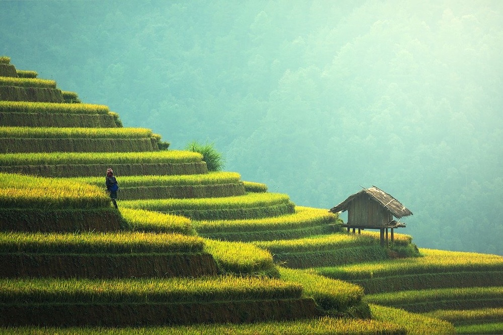 Das Klima in Thailand