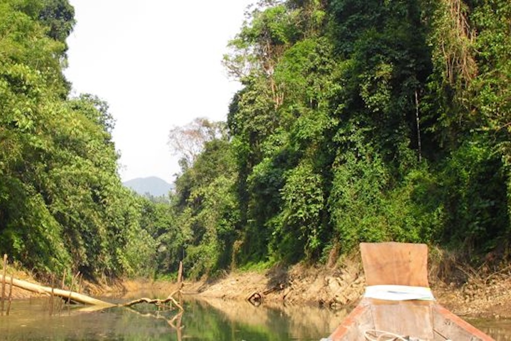 Khao Sok Tagestour