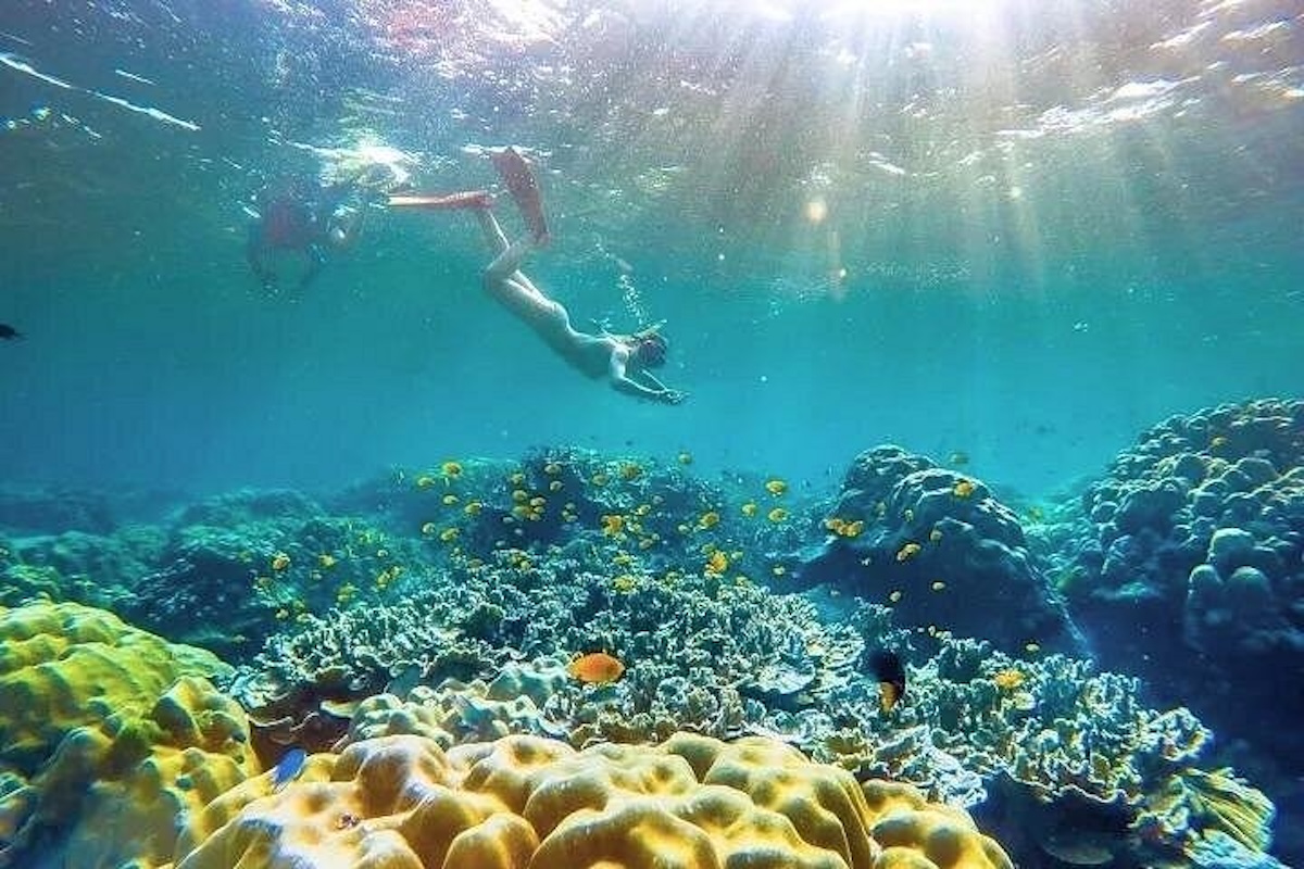 Schnorcheln im klaren Wasser der Similan Islands